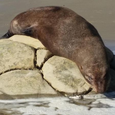 Moeraki Boulders Motel Hampden Екстериор снимка