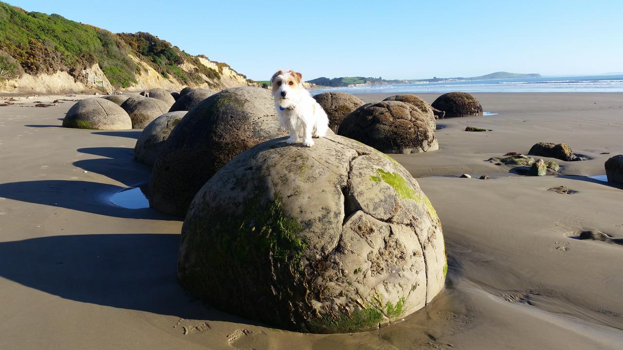 Moeraki Boulders Motel Hampden Екстериор снимка